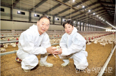 [현장] 동물복지 전환하니…규모 30% 줄였는데 수익 30% 증가