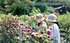 [특별기획/치유농업] 본능이 이끄는 녹색을 찾아…공간을 향유하는 삶의 쉼터