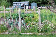 [특별기획/치유농업] 학교 밖 청소년들, 농장으로 모여라