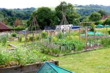 [특별기획/치유농업] 학교 밖 청소년들, 농장으로 모여라
