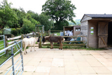 [특별기획/치유농업] 학교 밖 청소년들, 농장으로 모여라