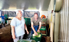 [특별기획/치유농업] 하루에 한 명, 다양한 농장활동으로 치유효과 높여