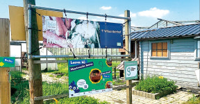 [특별기획/치유농업] 하루에 한 명, 다양한 농장활동으로 치유효과 높여