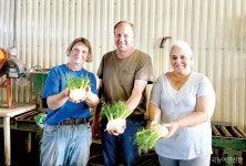 [특별기획/치유농업] 하루에 한 명, 다양한 농장활동으로 치유효과 높여