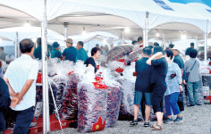 진안고원 마이산 고추시장 개장