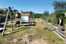 [특별기획/치유농업] 치매환자 위한 주거형 치유농장…내집처럼 느끼도록 세심히 배려