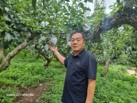 [농자재특집] 아열대 대처형 친환경농자재 탄탄탄…바이러스·세균·곰팡이병 극복 도움