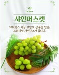 고령군 샤인머스켓 공동 브랜드 아임샤인, 고령몰·사이소 선물택배 배송 시작