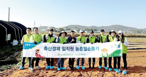 농협 축산경제, 농가 일손 돕기 잇따라