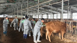 강원특별자치도 축산기술연구소 한우개량·인공수정 교육 성료