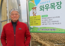 [신년특집] 동요 얼룩송아지 주인공 칡소…5000년 함께한 나도 한우랍니다