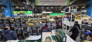 [설 대목장 점검] 사과 대과 많지 않아…배 물량공급 무리 없어