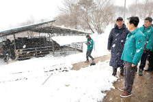 유독 시린 축산농가의 겨울나기