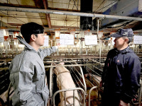 도드람양돈농협, 번식농가 경쟁력 높인다