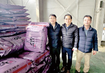 [논농사, 다시 디자인하다] 볏짚대란서 해방...농가 조사료 걱정 덜다