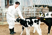 안성시 용화목장 청년농부 김의중 대표 젖소가 행복한 농장서 최고의 원유 나오죠