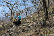 산비탈 오르내리며 20여년 가꾼 감나무…실제 피해액 가늠조차 어려워