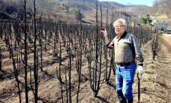 산불 확산은 국가 잘못…생색내기 지원 말고 제대로 보상해야