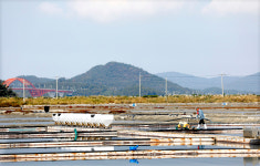 미국,  강제노동 이유 태평염전 소금 수입 금지···느닷없는 조치 당혹