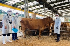 경기도 제57회 한우경진대회, 6월 3일까지 출품 접수