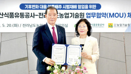 신품종 배추로 기후변화 해법 찾는다···aT-전남농기원 업무협약