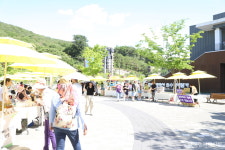 춘천 파머스마켓, 제철 농산물·체험 프로그램으로 관광객 사로잡아