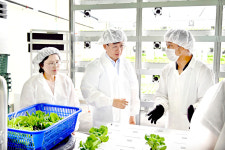 장수군 임대형 수직농장 작물 수확 첫 결실