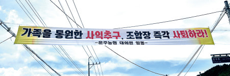 거액 들인 냉동딸기 창고행···완주 운주농협 갈등 장기화