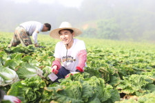 김진태 강원도지사, 평창서 1일 농부로 변신