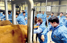 경기도, 한우 OPU수정란 기술 교육 실시···기술 확산·전문성 강화 기대