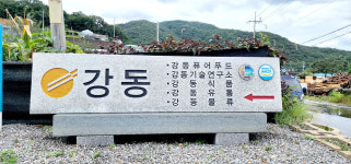 햇님떡방송림리공장 | [현장플러스] '떡 세상, 면 천하'로 유통영역 확장···국내 넘어 세계로