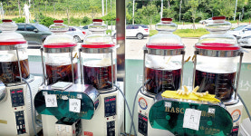 [현장 플러스] 해풍 맞고 자란 서산인삼 천해원 브랜드로 통한다