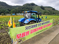 충북 배추밭 무름병 확산 자연재해 인정을