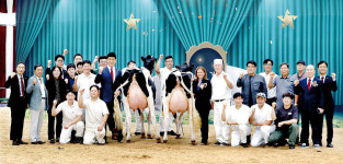 최명회 포천 노곡목장 대표, 한국홀스타인품평회 챔피언