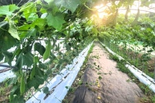 버리는 쓰레기에서 모으는 쓰레기로···농촌의 실험 시작됐다