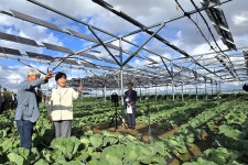 영농형태양광, 임차농 보호장치 만든다