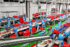 삼통으로 일군 품질 혁신···부경양돈농협, 대한민국 1등 협동조합에 성큼