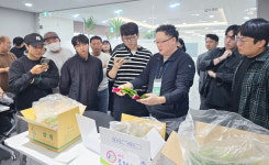 도매시장서 좋은 값 받는 노하우?…꾸준한 출하와 시장읽기