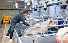 안성시 민근농장 곽영범 대표, 스마트 무창돈사로 냄새 줄이고 생산성 높여