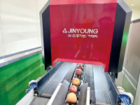 [스마트 혁신기술, 농업을 바꾼다] AI 정밀선별 데이터로 설득…청송 사과 브랜드 가치 높였다