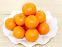 신품종 만감류 미래향, 당도 낮아 경쟁력 의문