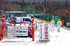 화성서도 ASF···안성 확진 농장과 농장주 같아