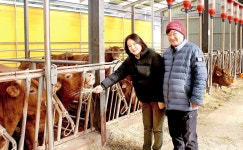 체계적 사양관리+유전개량...고급육 전국 상위 5%로 도약 결실