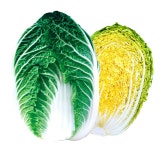 [주목 이 제품] NH농우바이오, 3월 추천 품종···피엠알303·태왕배추