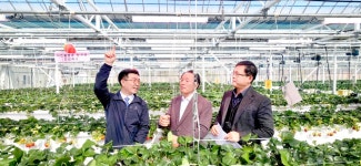 일조량 부족 해결···자동 보광기술 효과 입증