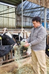 김포 통진읍 꿈목장 이윤재 대표, 병아리 두 마리로 키운 꿈···젖소 100마리 목장 일구다