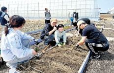 전주 도시농업 체험농장 도란도란 개장