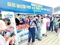 농협충남세종본부, 내포 직거래장터서 양파 소비 캠페인