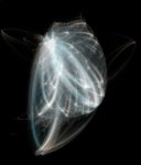 인구이동, 어디서 오고 어디로 가는가