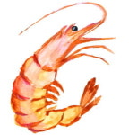 야호! 또 야근이다: 어느 학생연구생과의 대화